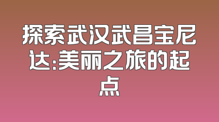 探索武汉武昌宝尼达：美丽之旅的起点