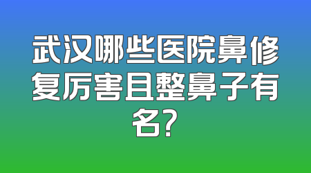 武汉哪些医院鼻修复厉害且整鼻子有名？