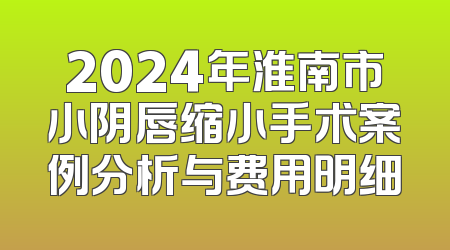2024年淮南市小阴唇缩小手术案例分析与费用明细