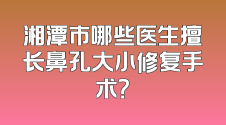 湘潭市哪些医生擅长鼻孔大小修复手术？