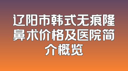 辽阳市韩式无痕隆鼻术价格及医院简介概览