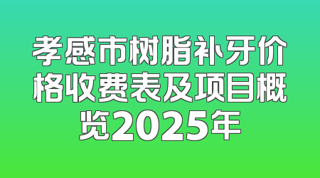 孝感市树脂补牙价格收费表及项目概览2025年