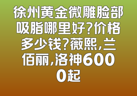 徐州黄金微雕脸部吸脂哪里好？价格多少钱？薇熙，兰佰丽，洛神6000起