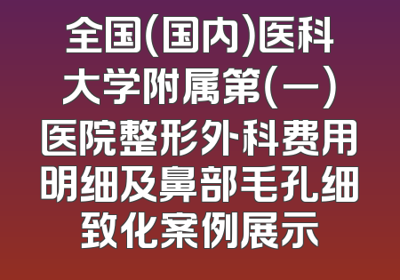 全国（国内）医科大学附属第（一）医院整形外科费用明细及鼻部毛孔细致化案例展示