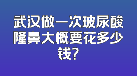 武汉做一次玻尿酸隆鼻大概要花多少钱？