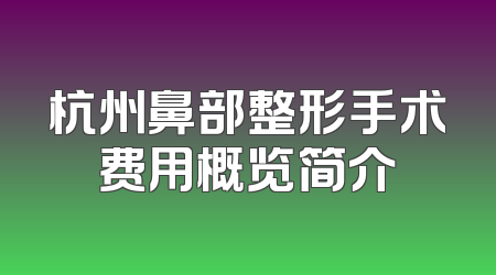 杭州鼻部整形手术费用概览简介