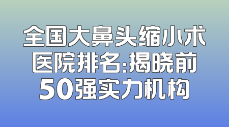全国大鼻头缩小术医院排名：揭晓前50强实力机构
