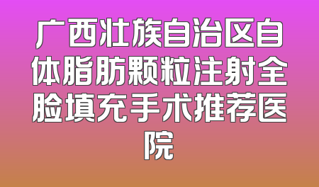 广西壮族自治区自体脂肪颗粒注射全脸填充手术推荐医院