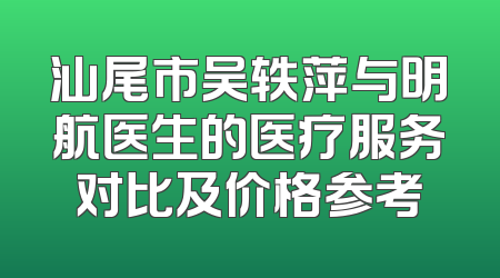 汕尾市吴轶萍与明航医生的医疗服务对比及价格参考