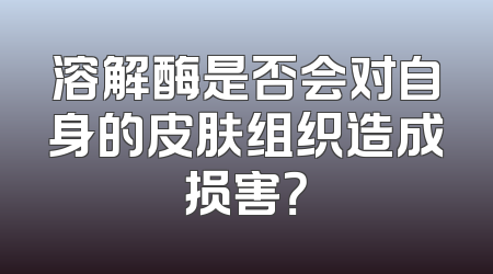 溶解酶是否会对自身的皮肤组织造成损害？