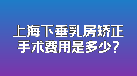 上海下垂乳房矫正手术费用是多少？