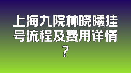 上海九院林晓曦挂号流程及费用详情？
