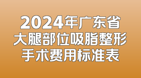 2024年广东省大腿部位吸脂整形手术费用标准表