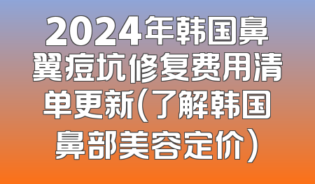2024年韩国鼻翼痘坑修复费用清单更新（了解韩国鼻部美容定价）