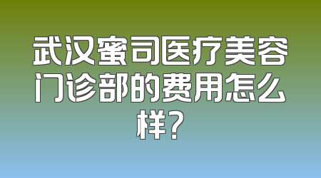 武汉蜜司医疗美容门诊部的费用怎么样？