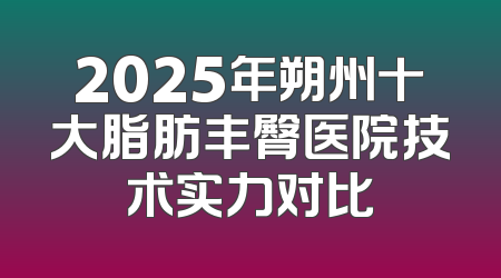 2025年朔州十大脂肪丰臀医院技术实力对比