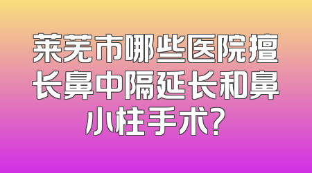 莱芜市哪些医院擅长鼻中隔延长和鼻小柱手术？
