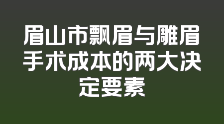 眉山市飘眉与雕眉手术成本的两大决定要素