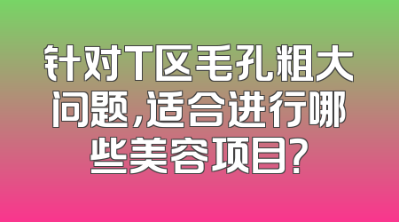 针对T区毛孔粗大问题，适合进行哪些美容项目？