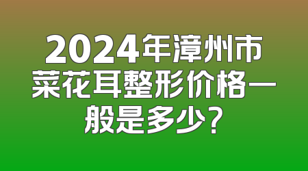 2024年漳州市菜花耳整形价格一般是多少？