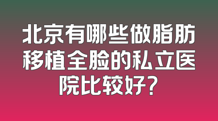 北京有哪些做脂肪移植全脸的私立医院比较好？