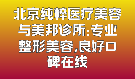 北京纯粹医疗美容与美邦诊所：专业整形美容，良好口碑在线