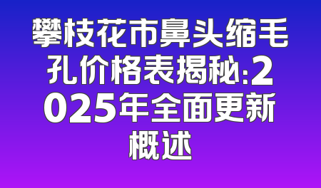 攀枝花市鼻头缩毛孔价格表揭秘：2025年全面更新概述