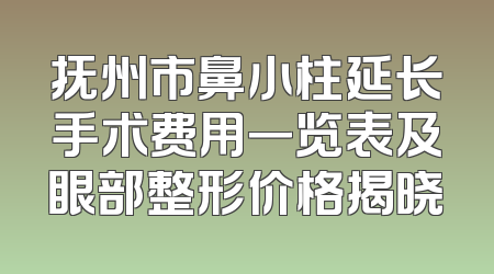 抚州市鼻小柱延长手术费用一览表及眼部整形价格揭晓