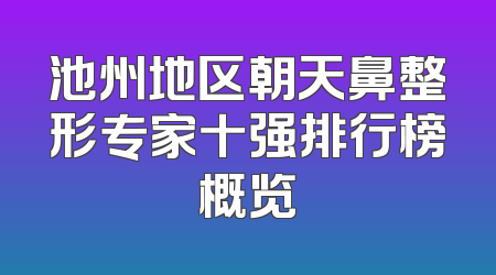 池州地区朝天鼻整形专家十强排行榜概览