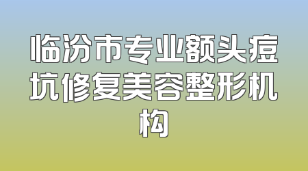 临汾市专业额头痘坑修复美容整形机构