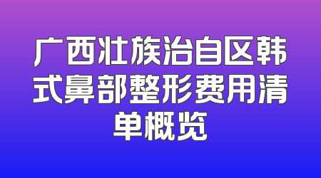 广西壮族治自区韩式鼻部整形费用清单概览