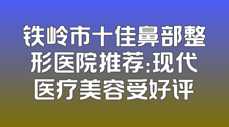 铁岭市十佳鼻部整形医院推荐：现代医疗美容受好评