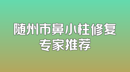 随州市鼻小柱修复专家推荐