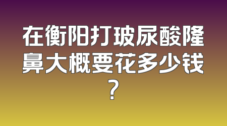 在衡阳打玻尿酸隆鼻大概要花多少钱？