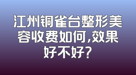 江州铜雀台整形美容收费如何，效果好不好？