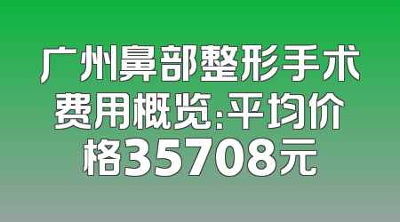广州鼻部整形手术费用概览：平均价格35708元