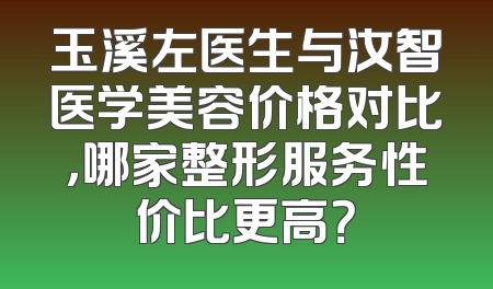 玉溪左医生与汝智医学美容价格对比，哪家整形服务性价比更高？