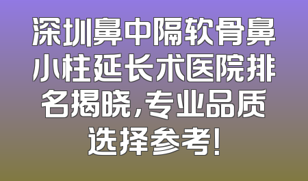 深圳鼻中隔软骨鼻小柱延长术医院排名揭晓，专业品质选择参考！