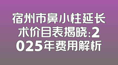 宿州市鼻小柱延长术价目表揭晓：2025年费用解析
