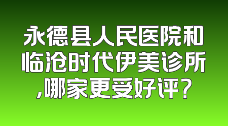永德县人民医院和临沧时代伊美诊所，哪家更受好评？