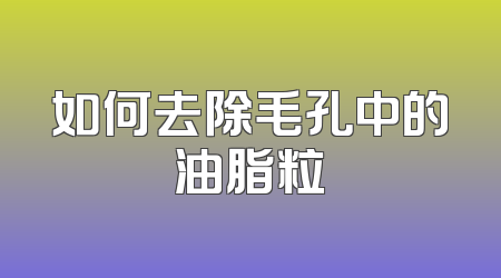 如何去除毛孔中的油脂粒