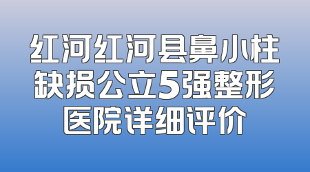 红河红河县鼻小柱缺损公立5强整形医院详细评价