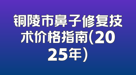 铜陵市鼻子修复技术价格指南（2025年）
