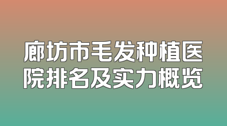 廊坊市毛发种植医院排名及实力概览