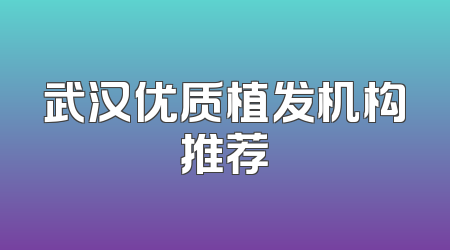 武汉优质植发机构推荐