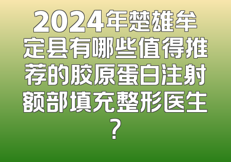 2024年楚雄牟定县有哪些值得推荐的胶原蛋白注射额部填充整形医生？