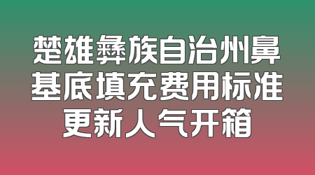 楚雄彝族自治州鼻基底填充费用标准更新人气开箱