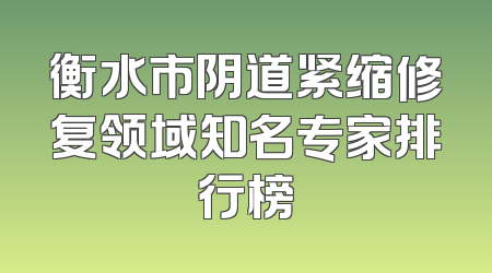衡水市阴道紧缩修复领域知名专家排行榜