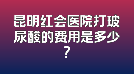 昆明红会医院打玻尿酸的费用是多少？