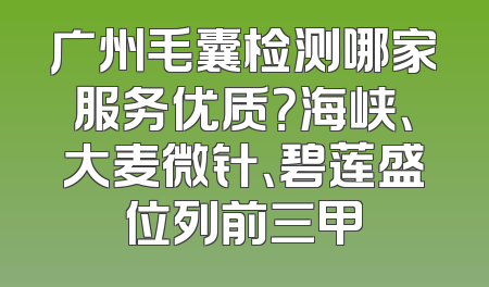 广州毛囊检测哪家服务优质？海峡、大麦微针、碧莲盛位列前三甲